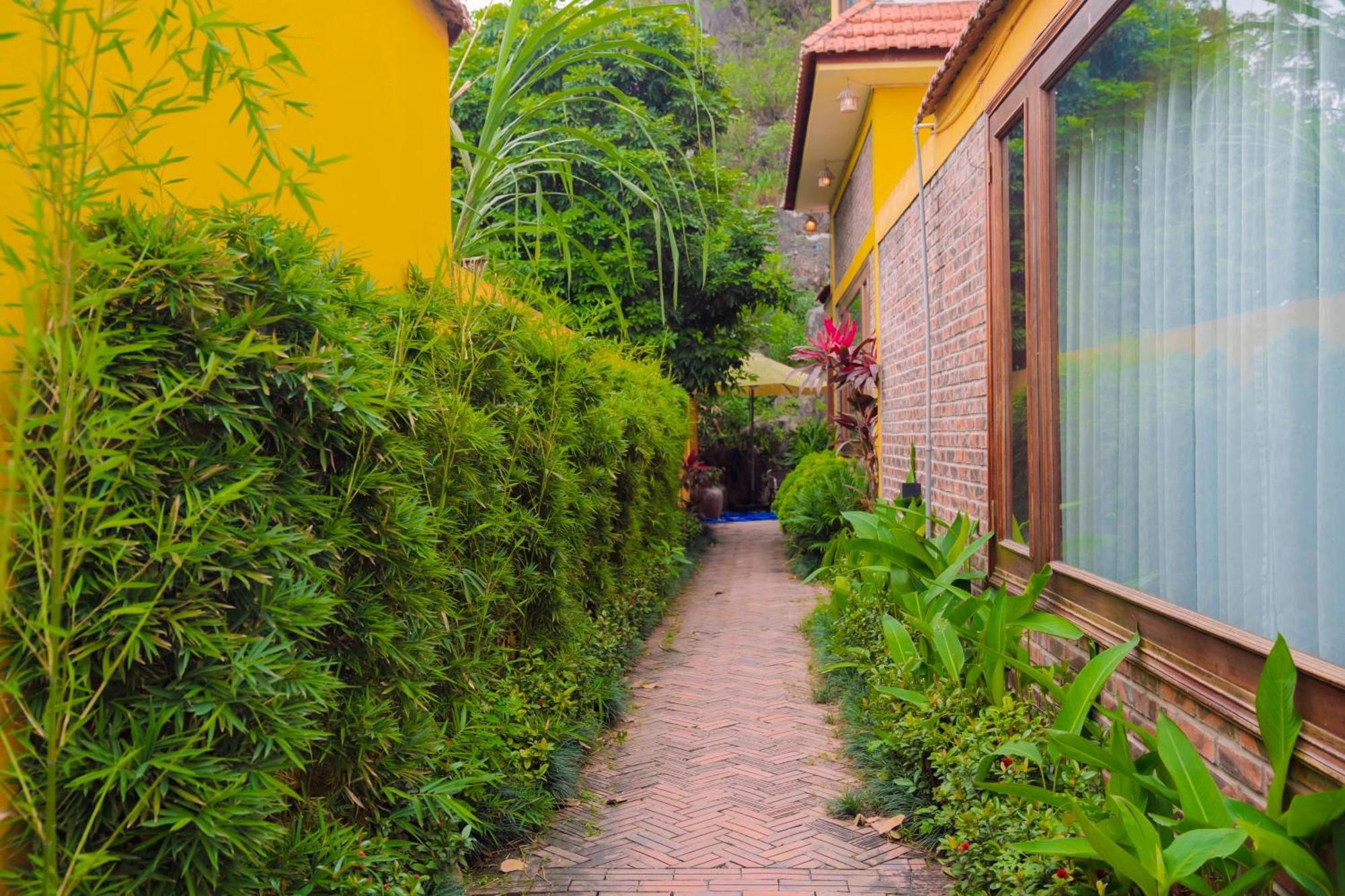 Papaya Bungalow & Rice Fields Apartment Ninh Binh Luaran gambar
