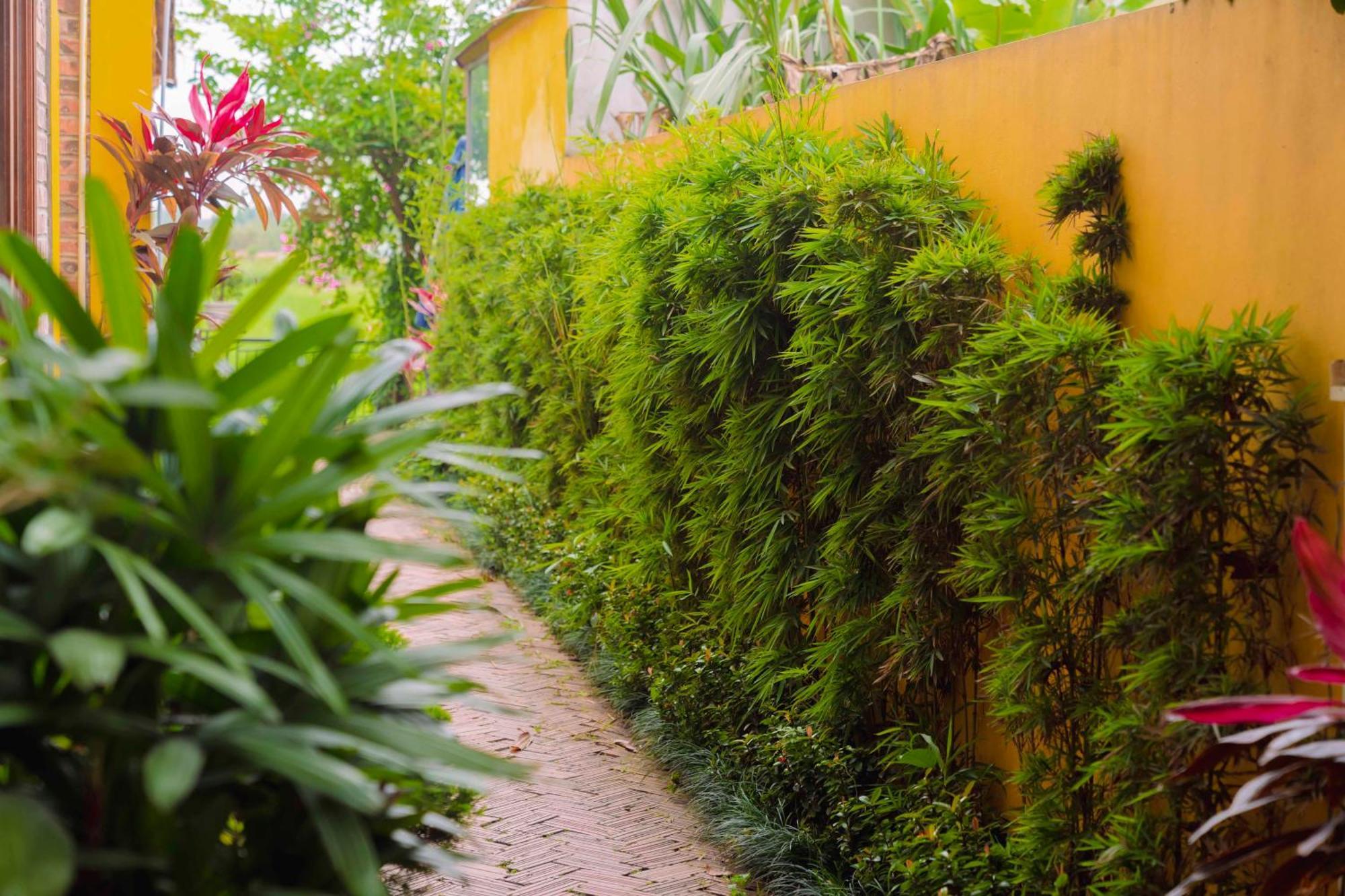 Papaya Bungalow & Rice Fields Apartment Ninh Binh Luaran gambar